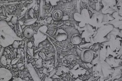 Fallen, Pencil Drawing, 20 X 27 cm, 2019