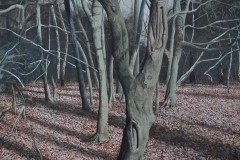 Beech on Box Hill, Acrylic on Paper, 23 X 17 cm, 2021